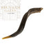 Yemenite Medium Natural Shofar (Medium)